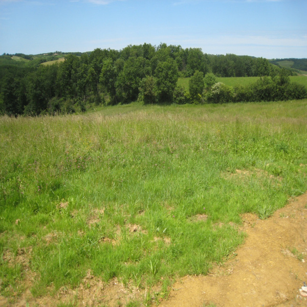 Offres de vente Terrain Auch 32000