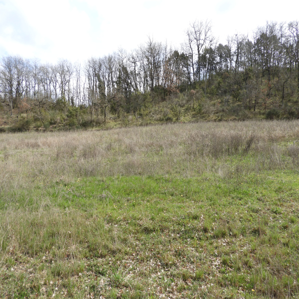 Offres de vente Terrain Auch 32000