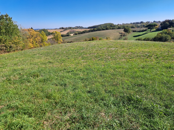 Offres de vente Terrain Auch 32000